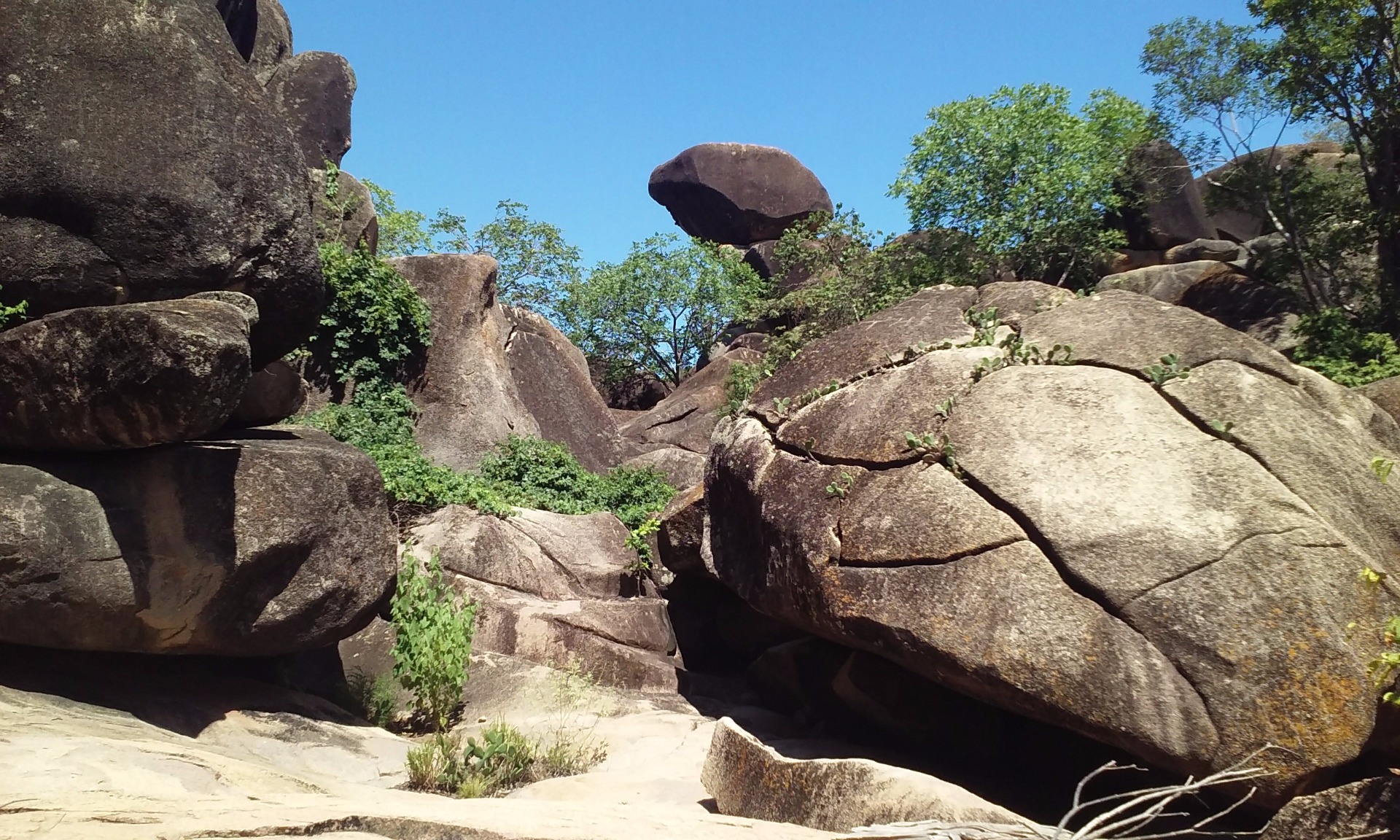 Pedra da tartaruga - Serra dos Cocos - Caldeirão Grande do Piauí-PI. Foto: Flávia Domingos